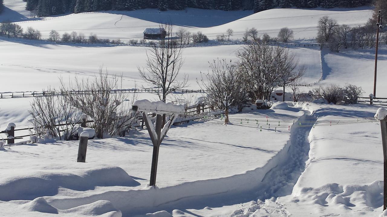 Ferienwohnungen Haus-Holzer Mauterndorf  Exterior foto